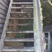 Image of a set of wooden steps showing Lichen growing directly out of the rails and bannister.